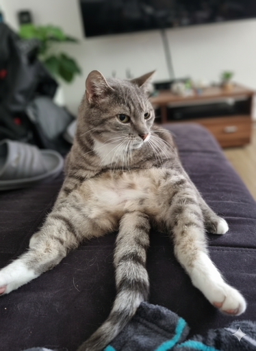 Profilbild von Basti